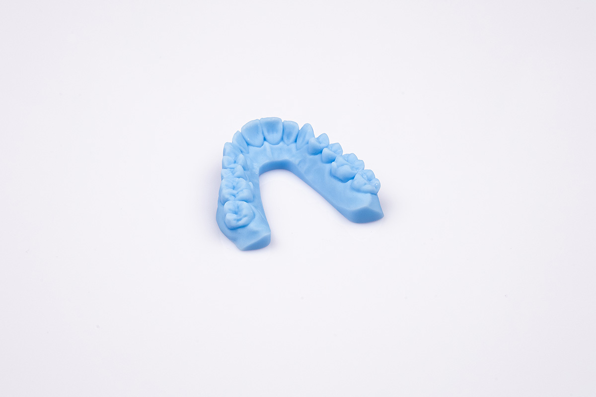 Orthodontic model